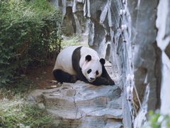 -五龙山野生动物王国