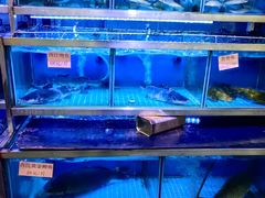 -八仔大富楼·河鲜(西江店)