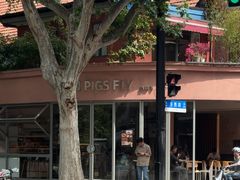 -WHEN PIGS FLY当猪飞