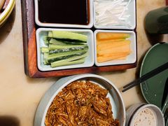 -情满四合院•京菜•烤鸭(动物园店)
