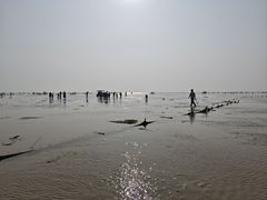 -北海金海湾红树林生态旅游区