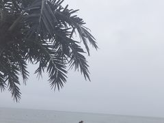 -北戴河东海水浴场