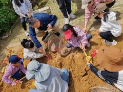 -樂桃源奉贤黄桃种植采摘基地