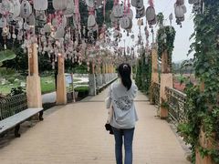 -丹樱生态园