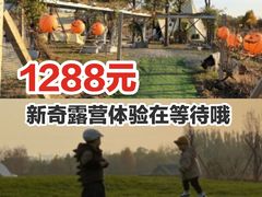 -安德鲁户外烧烤帐篷营地(马泉营店)