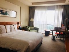 -上海浦东康桥绿地假日酒店
