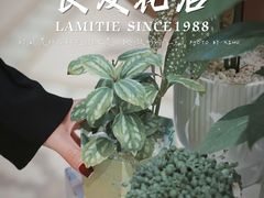 -良友花店(天目山路店)