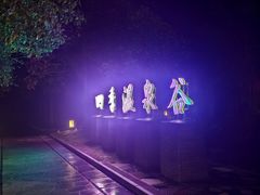 -中铁花水湾温泉酒店(大邑店)