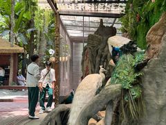 -野象谷景区