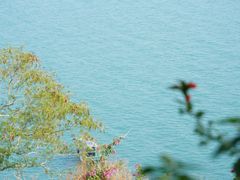 -花乐餐厅(涠洲岛店)