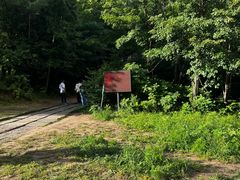 -五营红松林海景区