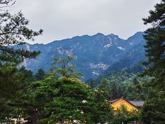 -九华山风景区