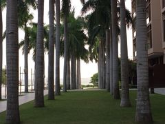 亚龙湾红树林度假酒店-三亚亚龙湾红树林度假酒店