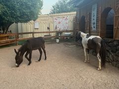 -HERRE·FARM 赫尔露营农场·团建聚会包场