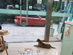 -佳雯宠物医院·皮肤科·内外科(春晓路分院)