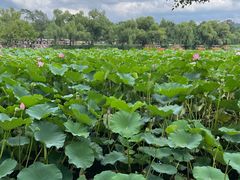 -承德避暑山庄景区