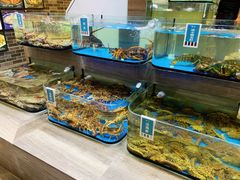 水产区-金海湾海鲜总店