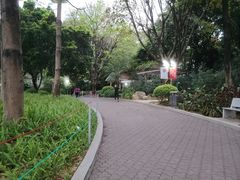 -东风公园