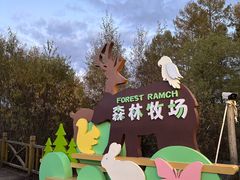 -莫尔道嘎国家森林公园