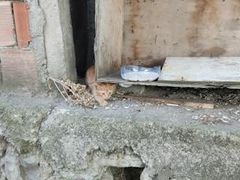 -维乐口腔医院(星海湾分院)