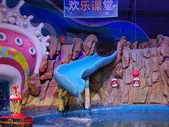 -烟台海昌鲸鲨海洋公园