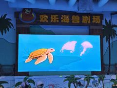 -石家庄极地海洋世界