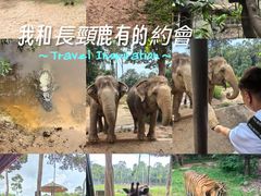 -富国岛珍珠游乐园