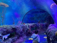 -沈阳海洋探索中心