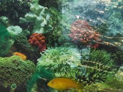 -泰谷酒店·太古码头闽菜自助餐厅