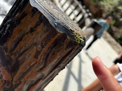 -湖洞水自然风景区