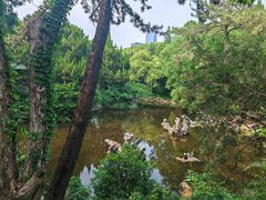 -叶家花园