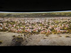 -CGV影城(蓬江IMAX店)