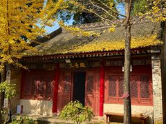 -少华山国家森林公园