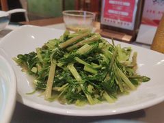 -松沪名灶·豆浆鱼头·新上海菜(飞航吾悦广场店)