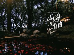 -湖泉半山温泉