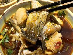 -费明中罗非鱼(大石坝店)