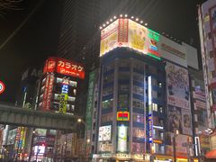 -秋叶原电器街