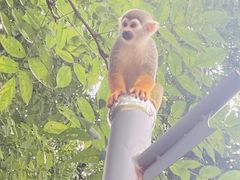 -常州淹城野生动物世界