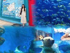 -海合安武汉极地海洋公园