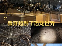 -世界恐龙谷景区