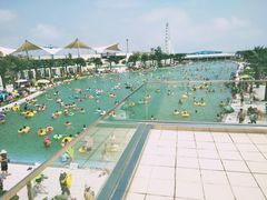 -秦皇岛乐岛海洋王国