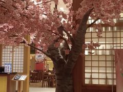 -大江户·温泉洗浴(浑南店)