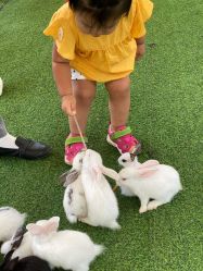 -萌宠亲子动物乐园(槐房万达店)