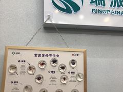 -瑞派宠物医院·中兽医专科(中央商城分院)