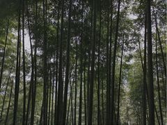 -径山寺
