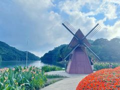 -广州市石门国家森林公园