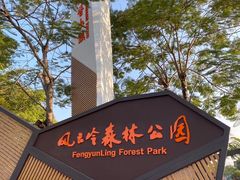 -风云岭森林公园