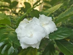 -晓港公园
