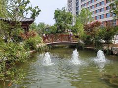 -山东省千佛山医院