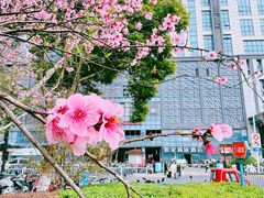 -维也纳国际酒店·苏州火车站店